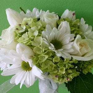 Cut Flowers